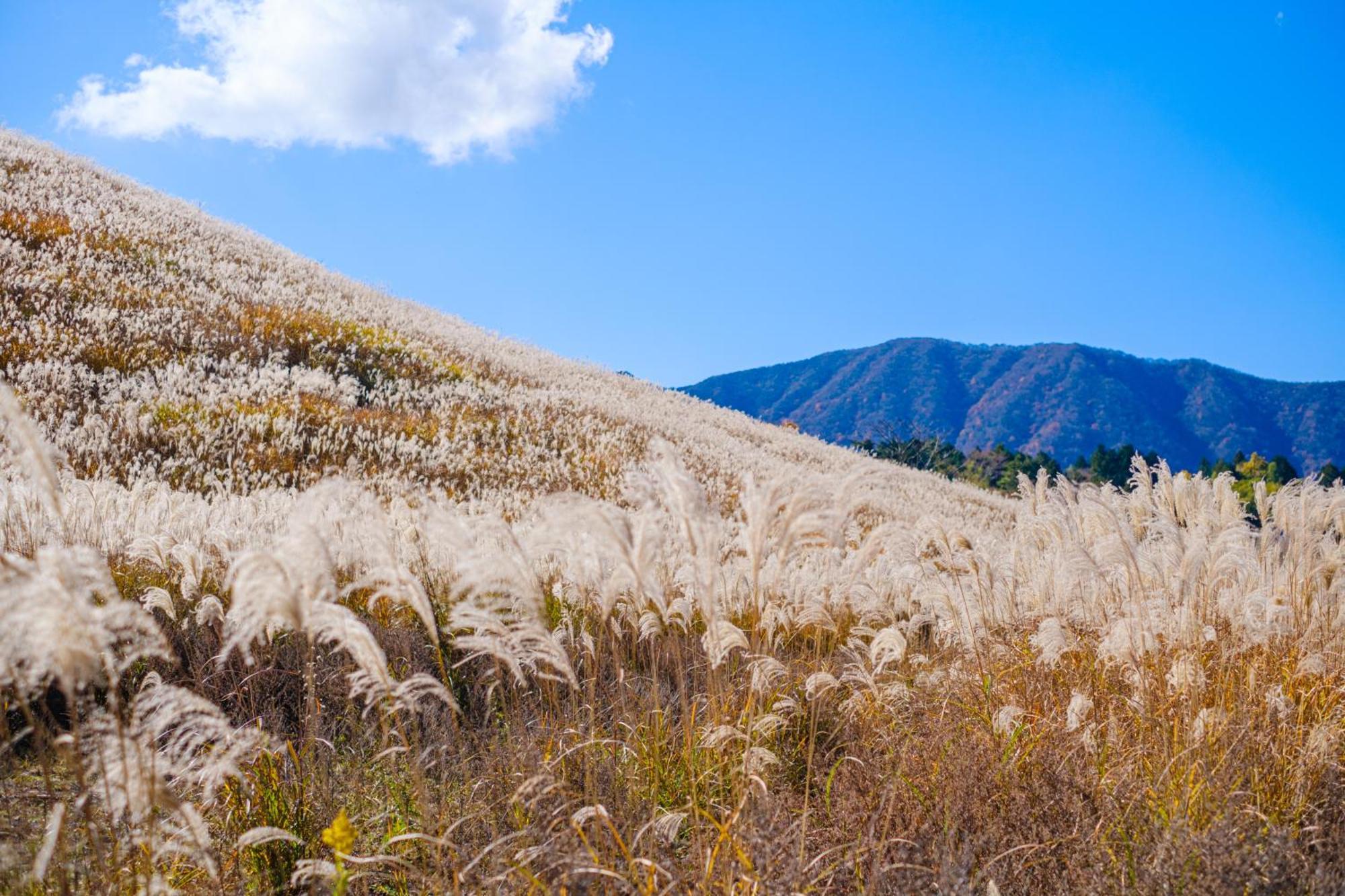 Koti Hakone（コティ箱根）