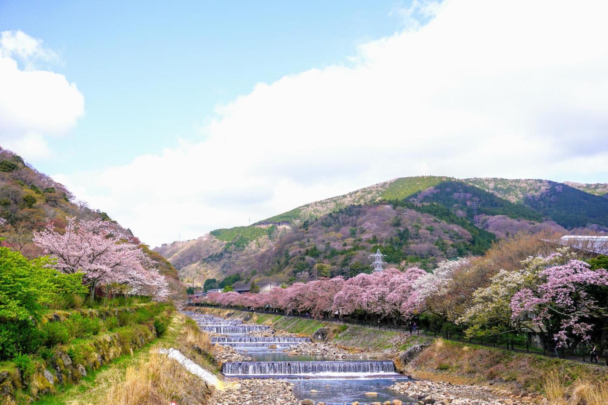 Koti Hakone（コティ箱根） * 箱根